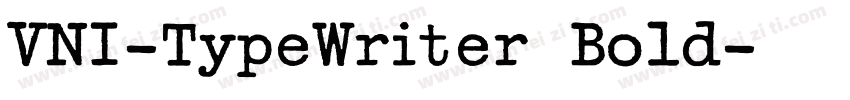 VNI-TypeWriter Bold字体转换